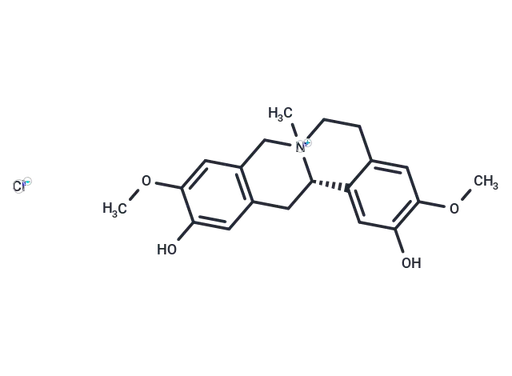 Phellodendrine chloride
