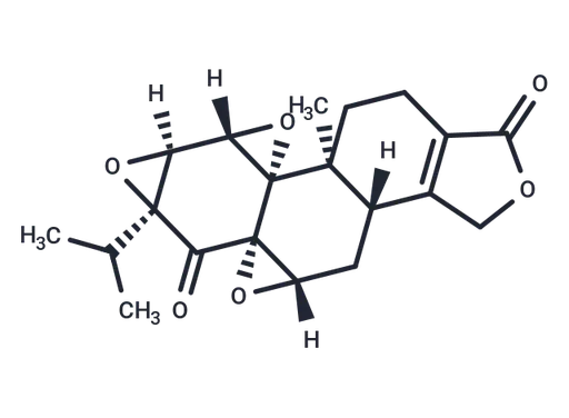 Triptonide
