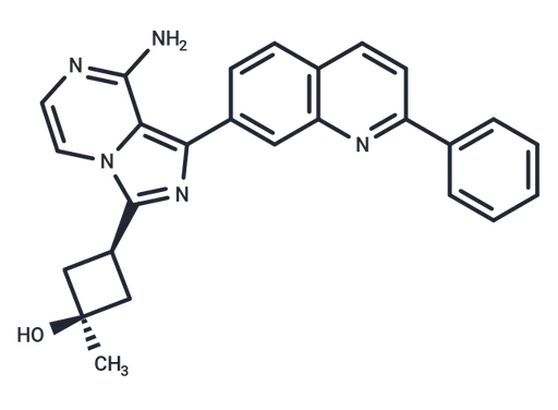 Linsitinib
