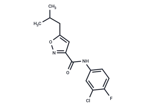 SJ000063181