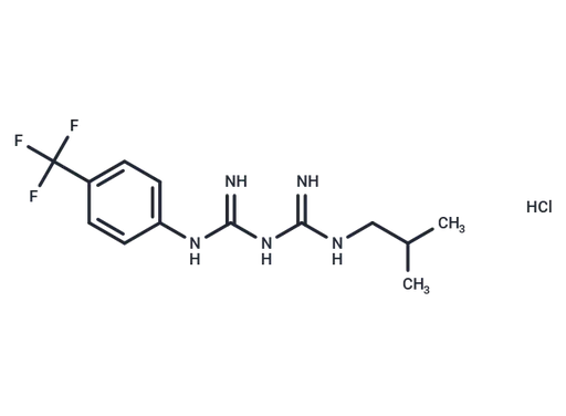 AMPK activator 2 hydrochloride
