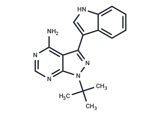 3-IN-PP1