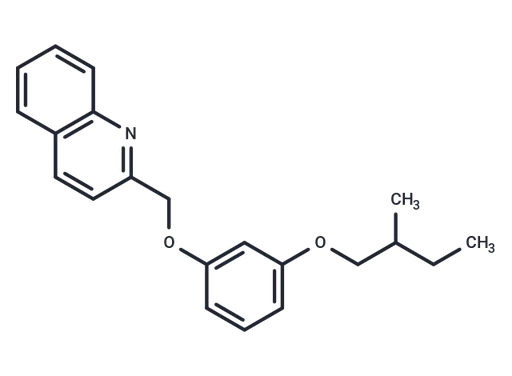 GPBAR1-IN-3