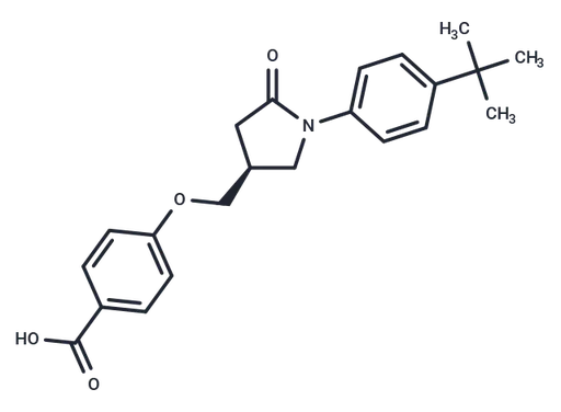 S-2E