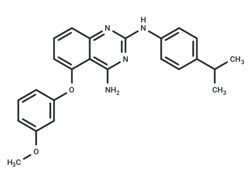 Yhhu-3792