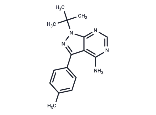 PP1