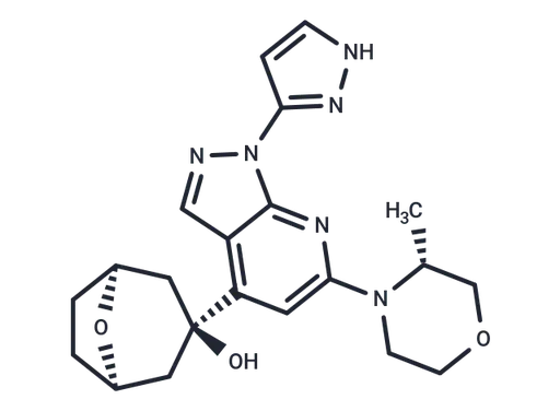 Camonsertib