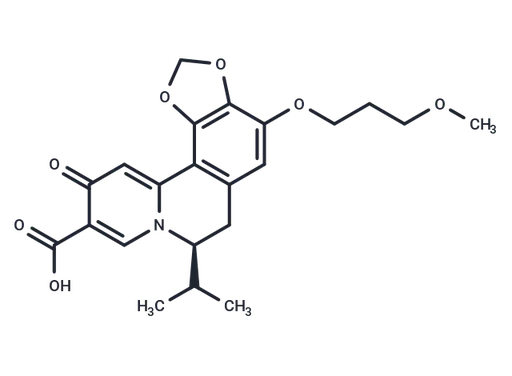 HBV-IN-13