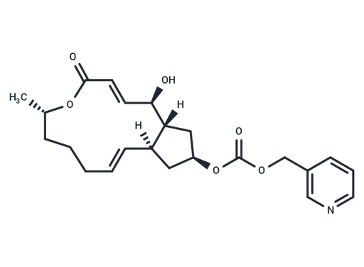 CHNQD-01255