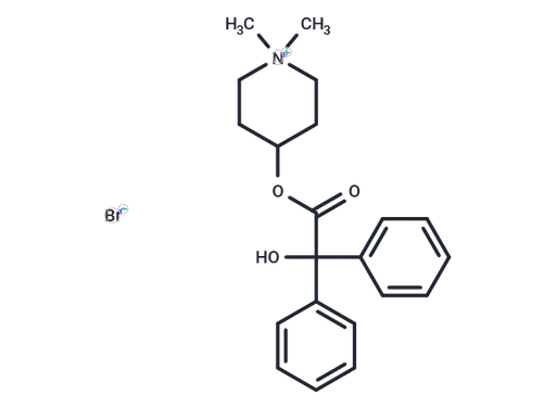 Parapenzolate bromide