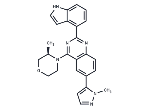 SKLB-197