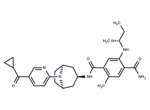 XL888