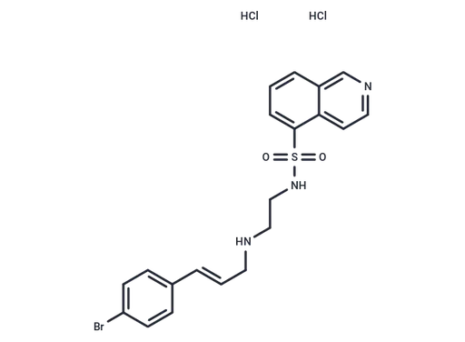 H-89 dihydrochloride