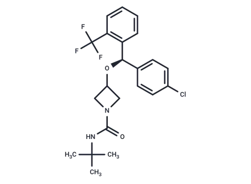 ANEB-001