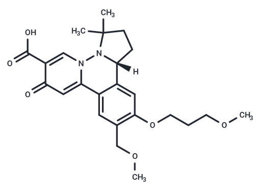 HBV-IN-19