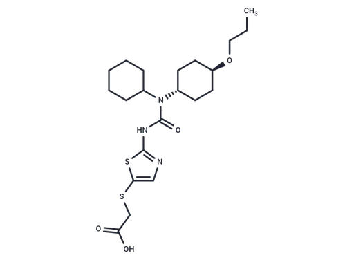 Cadisegliatin