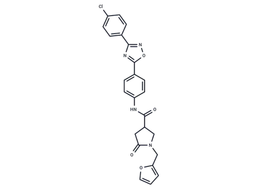RLX-33