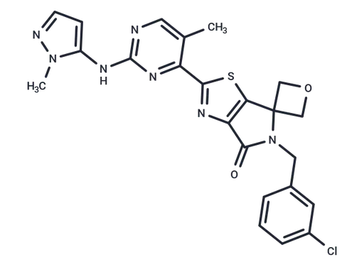 ERK1/2 inhibitor 8