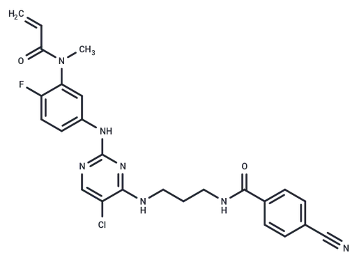 CS12192