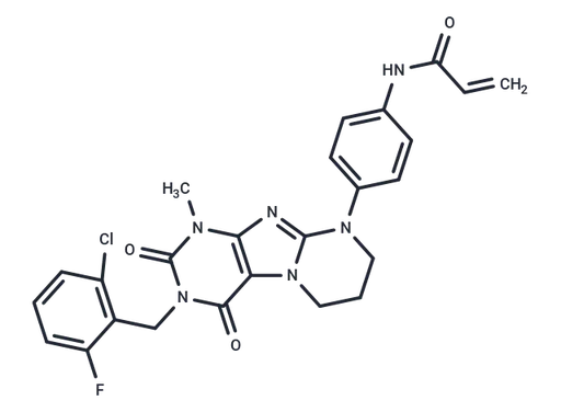 KRAS G12C inhibitor 31