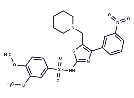 JM6