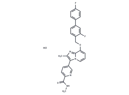 γ-Secretase modulator 11 hydrochloride