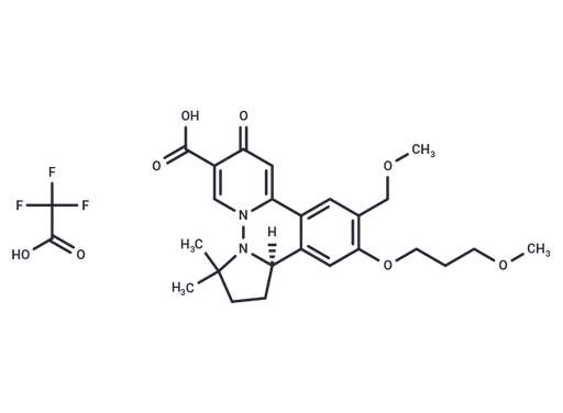 HBV-IN-19 TFA