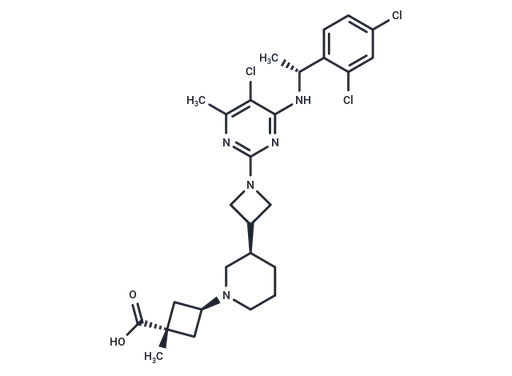 RPT193