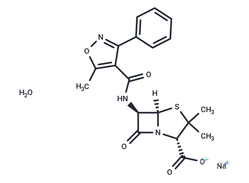 Oxacillin sodium monohydrate