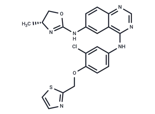 Varlitinib