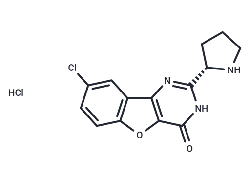 XL413 hydrochloride