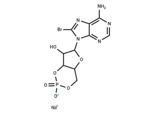 8-Bromo-cAMP sodium salt