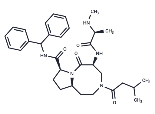 Xevinapant