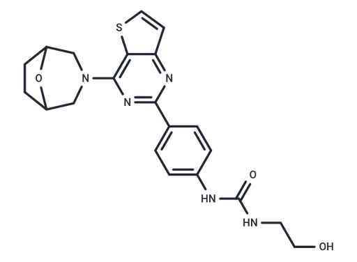 mTOR inhibitor 9d