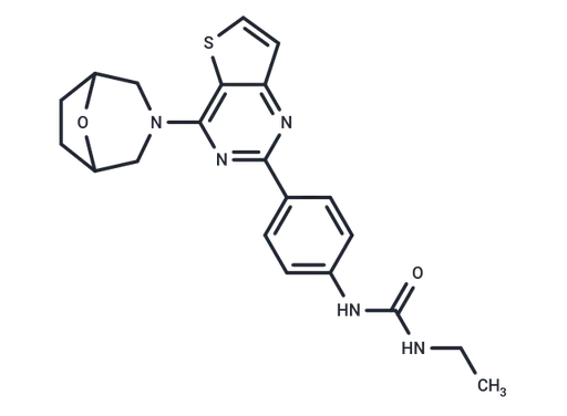 mTOR inhibitor 9b