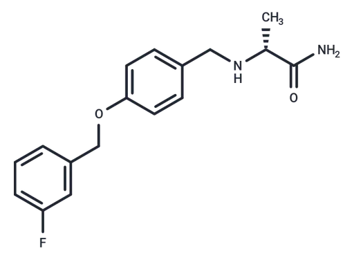 FCE 28073