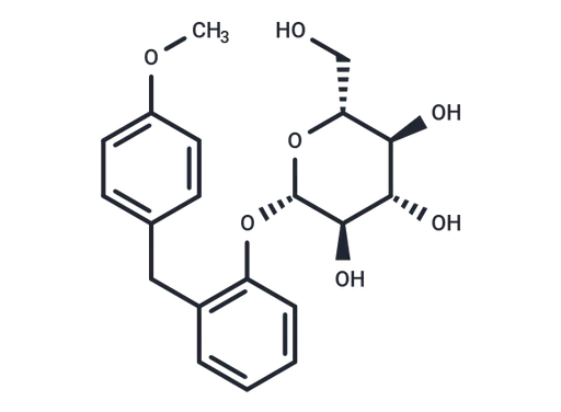 Sergliflozin A