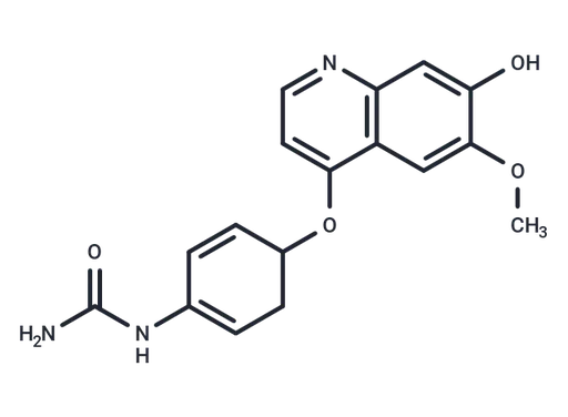KRN383