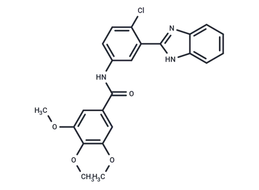 SANT-2