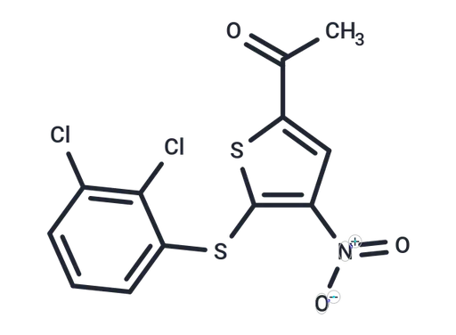 P005091