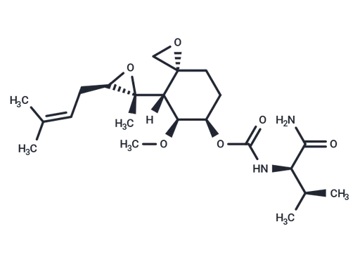 PPI-2458