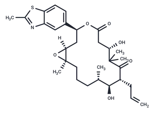Sagopilone