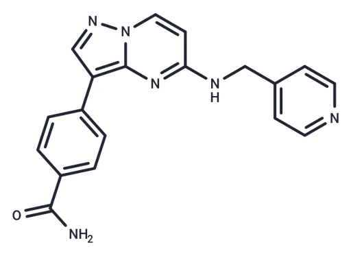DUN73423