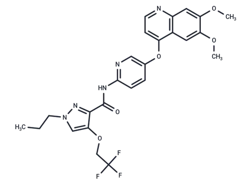 Adrixetinib