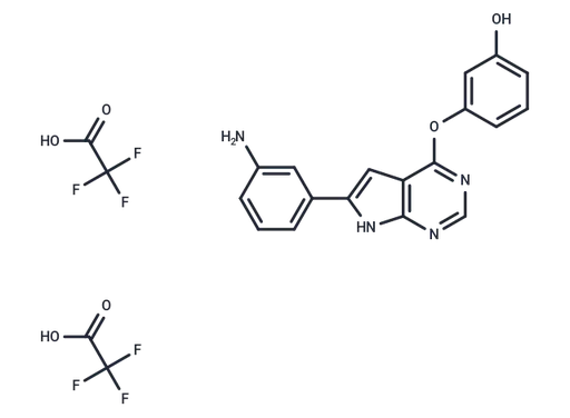 TWS-119 TFA