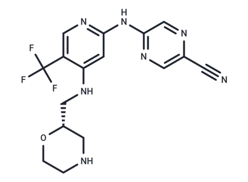CCT245737(S)