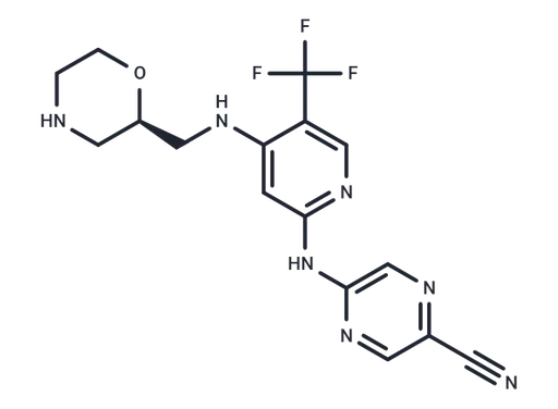 CCT245737
