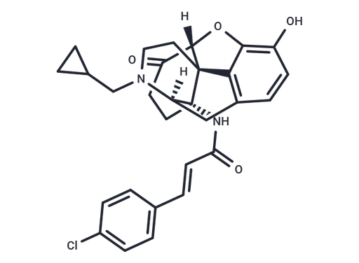 RX 809055AX