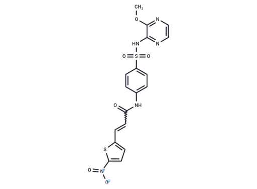 (E/Z)-Necrosulfonamide