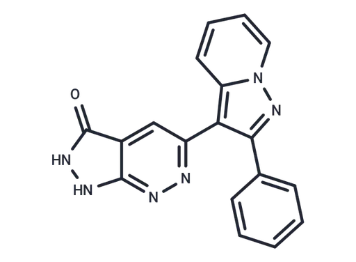 ERK Inhibitor II (Negative control)